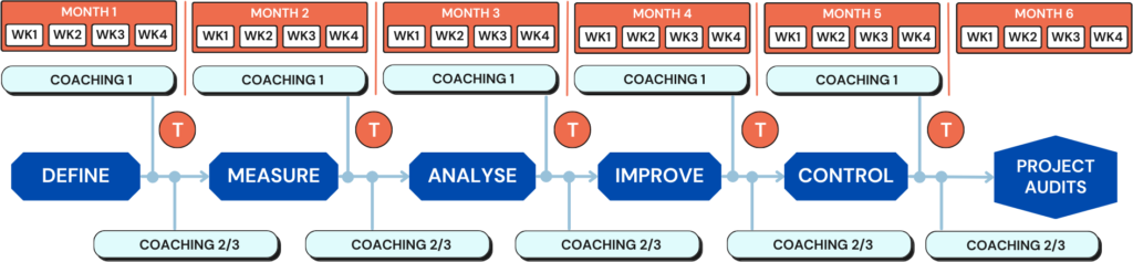 Six Sigma Project Management Approach